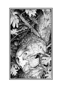 Image 1 of Wasp's Nest · Print