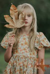 Bonnie Dress