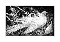 Image 1 of Burning Phoenix  · Print