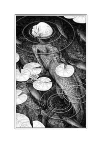 Image 1 of Fiji Mermaid · Print