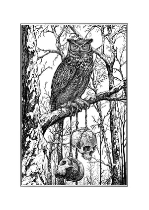 Great Horned Owl · Print