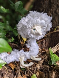 Image 1 of Elain the Lacecap Dragon