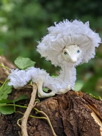 Image 3 of Elain the Lacecap Dragon
