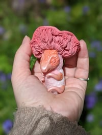 Image 2 of Mari - Pink Oyster Baby Mushroom Dragon
