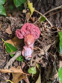 Image 4 of Mari - Pink Oyster Baby Mushroom Dragon