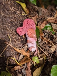 Image 5 of Mari - Pink Oyster Baby Mushroom Dragon