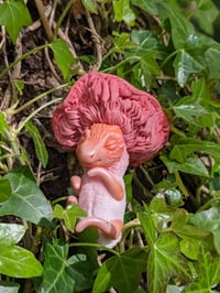 Image 1 of Mari - Pink Oyster Baby Mushroom Dragon
