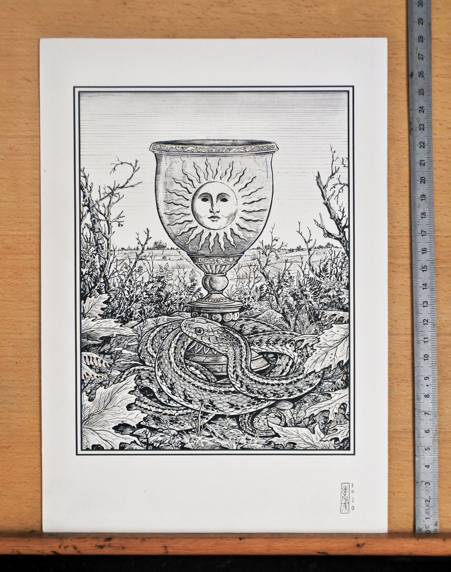 Sun Cup and Garter Snake · Original Art