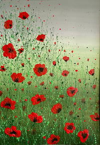 Image 1 of 'Poppy Meadow''