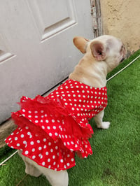 Image 1 of  Red Polkadot Dress