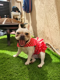 Image 3 of  Red Polkadot Dress