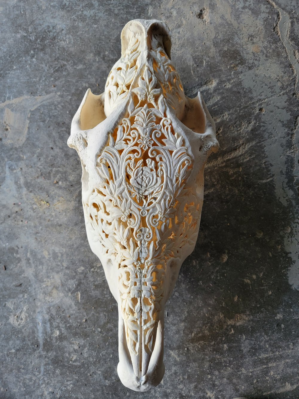 12" long carved zebra skull