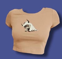 Image 2 of Appa Top