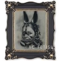 Bunny Original Framed Drawing