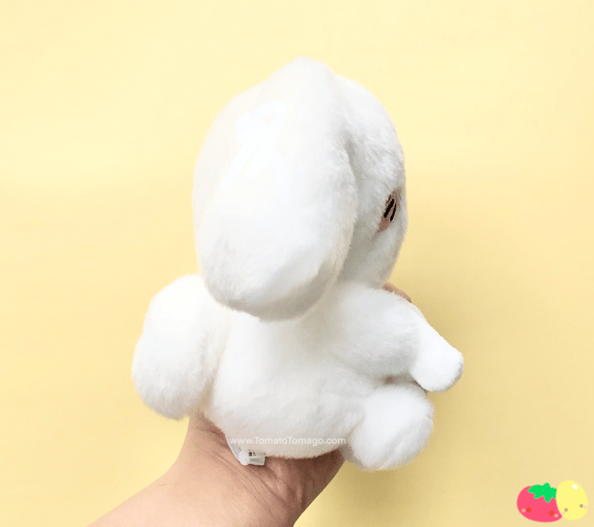 Cinnamoroll x Nagano Pair Plushie