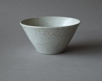 Speckle bowl