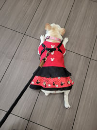 Image 1 of Red Minnie Mouse Dress 