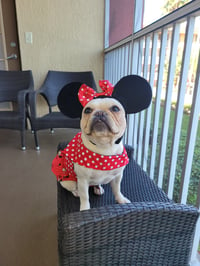 Image 2 of Minnie Mouse Polkadots Dress