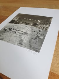 Image 2 of 'Dog Town'