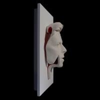 Image 4 of 'Ziggy Flash' David Bowie Face Sculpture