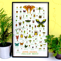 All The Bugs in Animal Crossing Print