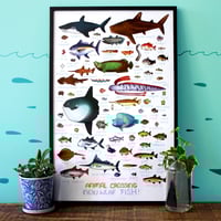 All The Fish in Animal Crossing Print