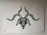 RAM