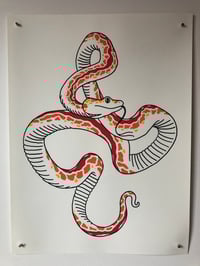 SERPENT