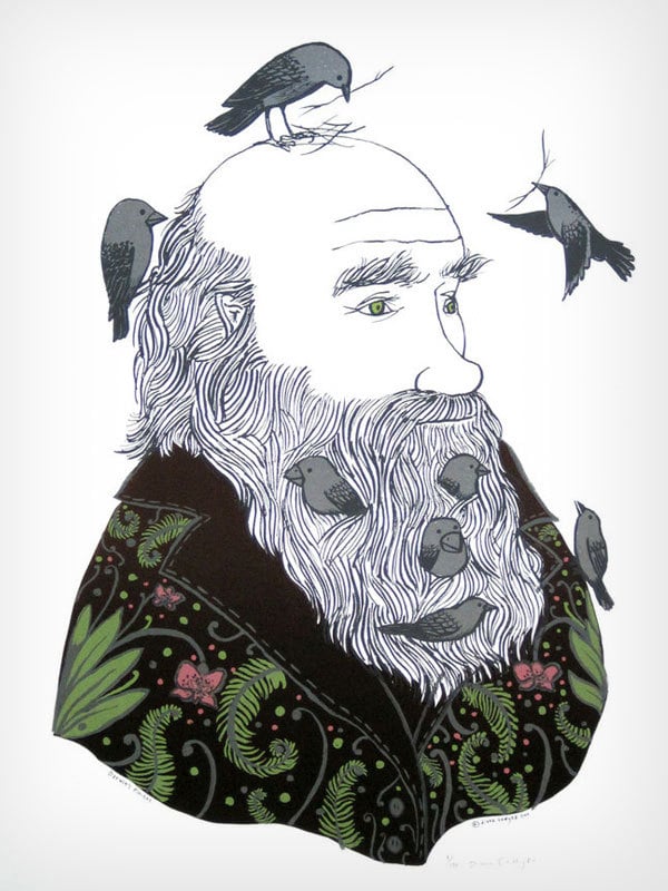 Image of Diana Sudyka "Darwin's Finches"