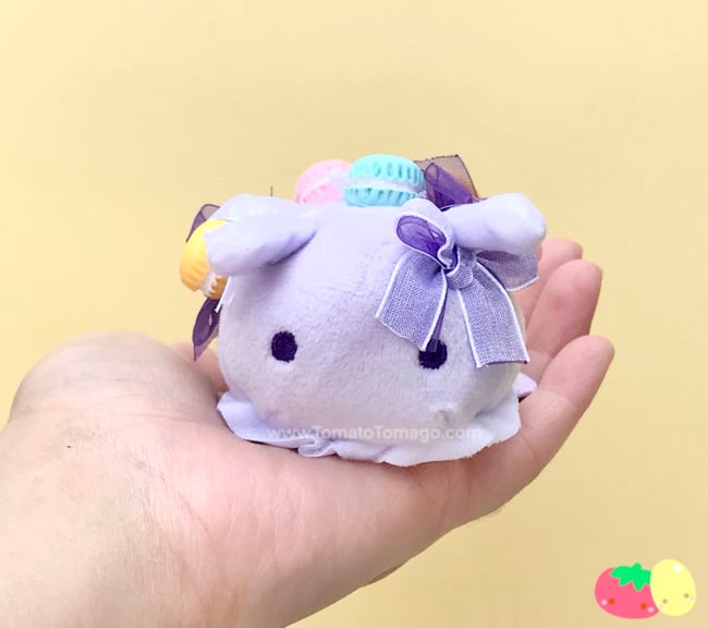 Yumemiushi Sea Slug - Macaron