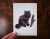 Familiar Print