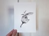 Moth Print