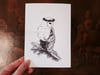 Barn Owl Print