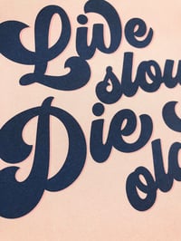 Image 1 of Live Slow Die Old risograph print - cobalt blue and light neon pink