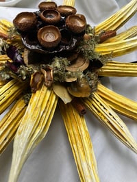 Image 3 of Okra  Sunflower,  the Woods