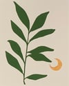 Branch with Moon in Green and Gold