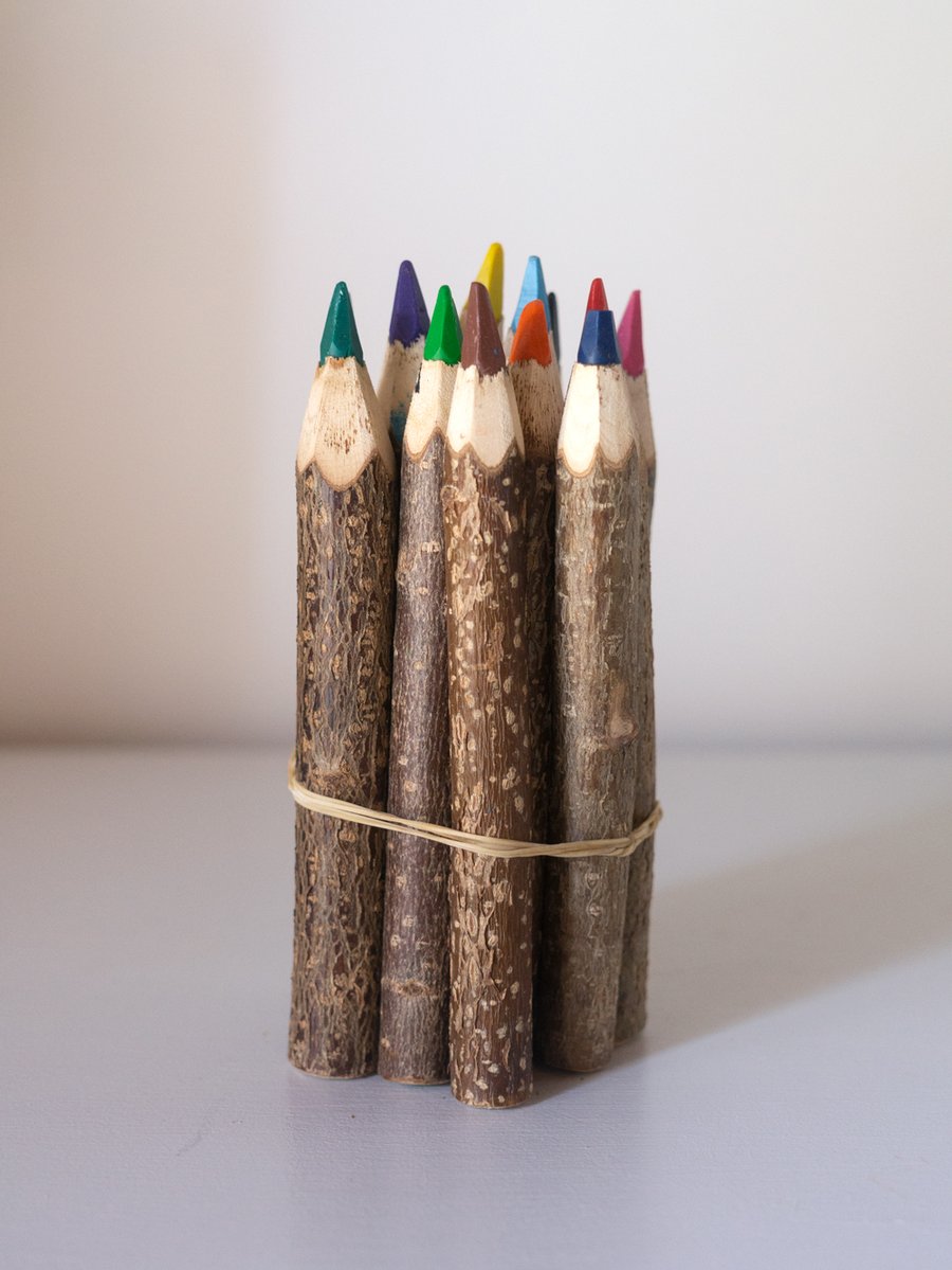 Image of twig pencils