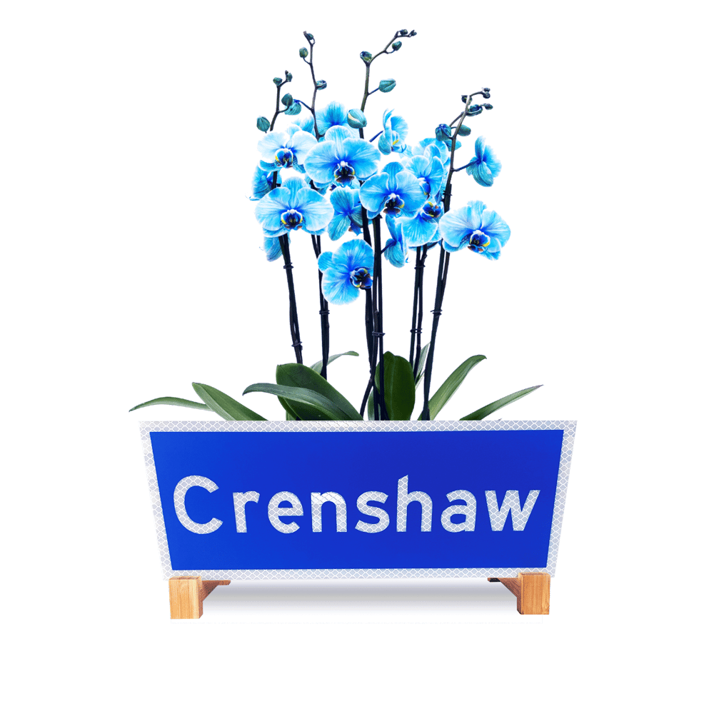 Image of Crenshaw Street PLAnter