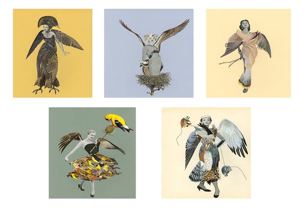 Image of Bird Women note cards.