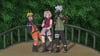 Naruto Shippuden Team Kakashi 14" x 8" Print 