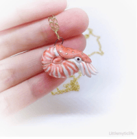 Image 3 of nautilus necklace