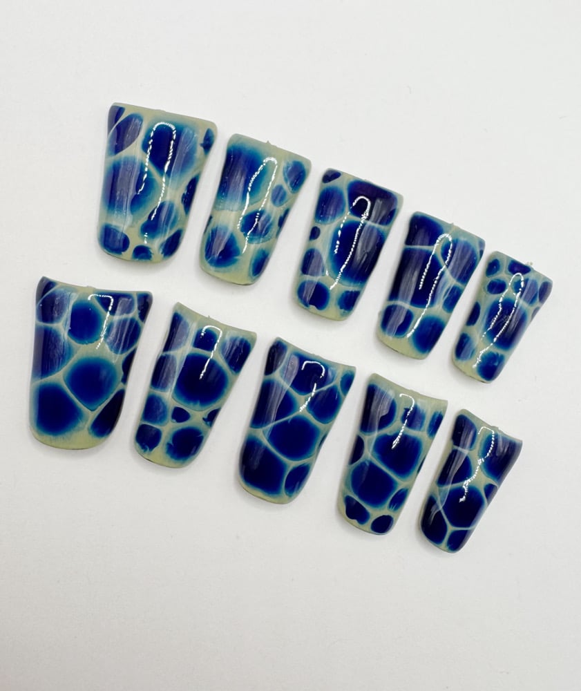 Image of aquatic set