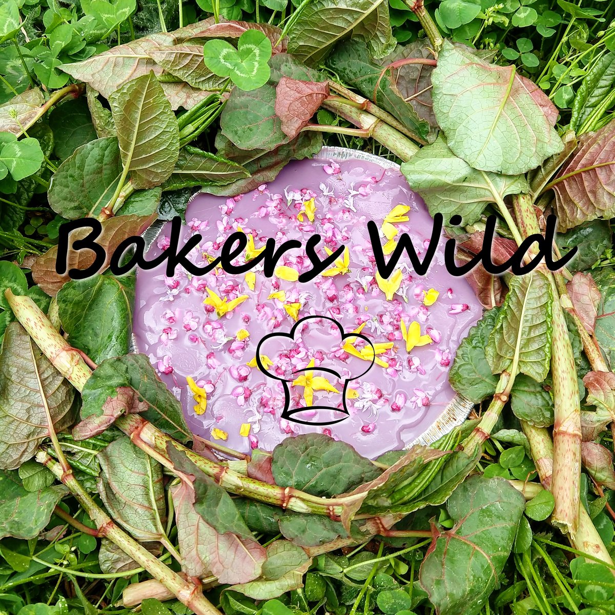 Bakers Wild