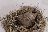 Image 1 of Sleeping Chestnut Baby, 2021, stoneware clay sculpture in handmade nest