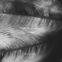 Viral Meditations Vol. 2