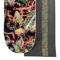 Image 4 of BIG BUD BUNDLE