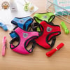 Pet Dog Harness for out door