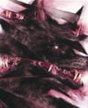 vvolv (4x5, 8x10, 11x14, or 13x16 inches) fine art print