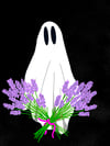 Lavender Ghost 