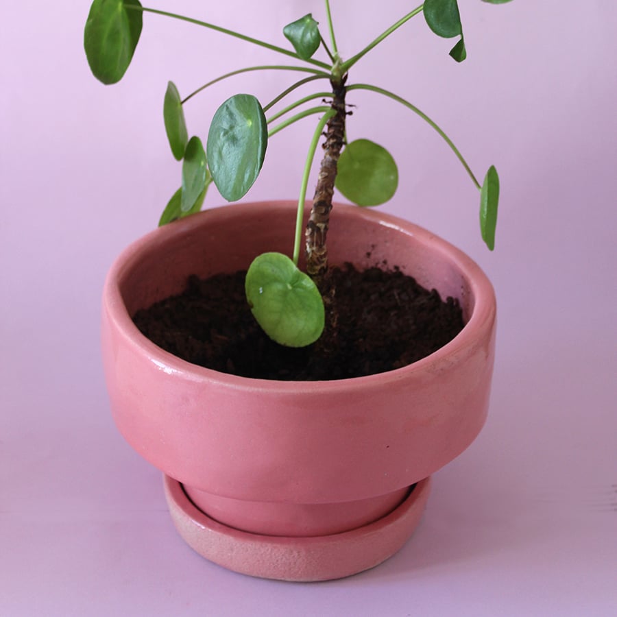 Image of Pink Power Pot